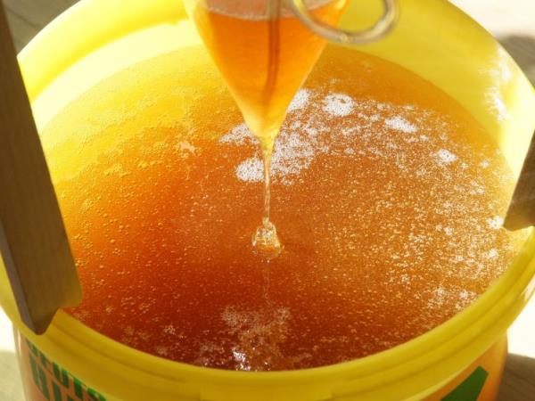 Zdravnik, ki trdi, da je odkril recept proti raku, a ga nihče ne posluša